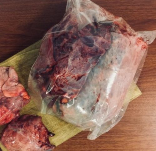 Marha tüdő egész 1 kg - Páldeák