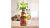Immunerősítő smoothie kutyáknak (marhahússal) 250ml, SmoothieDog