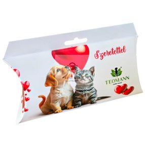 Teomann Ajándék Párnadoboz - Bárány