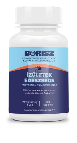 ÍZÜLETEK EGÉSZSÉGE, BORISZ