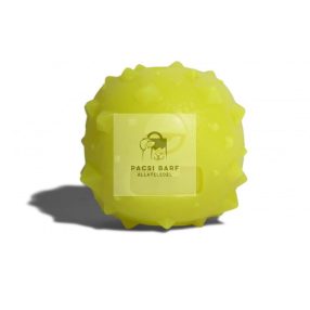 ZEE.DOG Microbe Labda