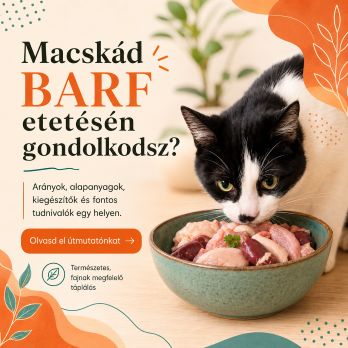 Macskák BARF etetése